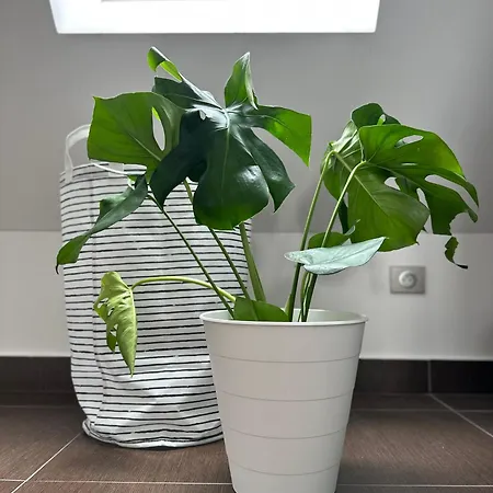 Apartment Urban Zenhouse No 2-breakfast Optional Bratislava
