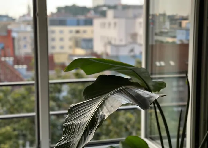 Urban Zenhouse No 2-breakfast Optional Bratislava