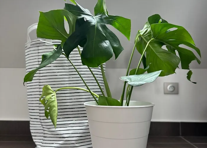 شقة Urban Zenhouse No 2-breakfast Optional براتسيلافا