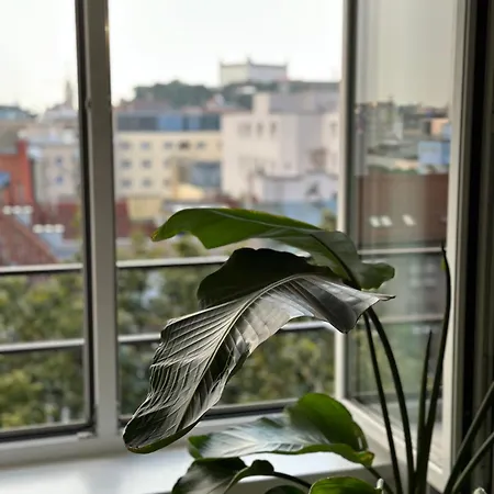 Urban Zenhouse No 2-breakfast Optional 브라티슬라바